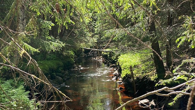 Maintain protection zones next to water bodies